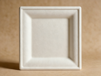 Assiette carrée jetable en pulpe moulée pour gâteau