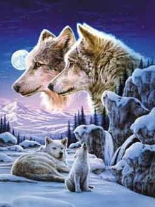 Prix usine 3D <span class=keywords><strong>image</strong></span> lenticulaire <span class=keywords><strong>de</strong></span> <span class=keywords><strong>super</strong></span>-héros Anime 3D affiches pour la vente en gros - Product Image 2