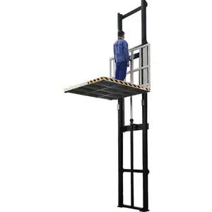 Ascenseur extérieur intérieur de 200kg pour entrepôt de fret handicapé Cargo Small Home Elevator Lift Passenger Wall Mounting