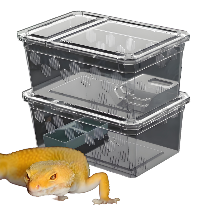 High Quality PP Plastic Reptile Terrarium