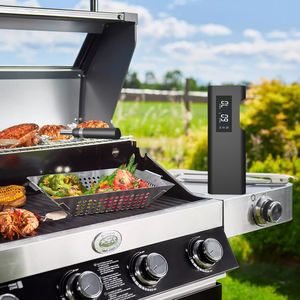 Termômetro Digital Bluetooth Sem Fio Lonnmeter para Churrasco com Sonda de Construção Metálica IP68 à Prova d'Água para Temperatura de Carne - Product Image 4