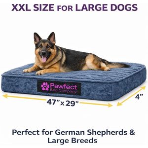 Pawfect Bedding Company Orthopedic <b>Dog</b> <b>Bed</b> XX Large Gray Plush <b>Cover</b> Removable Washable Supportive High Density Foam Rectangle - Product Image 2