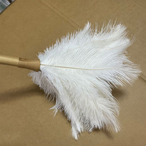 <span class=keywords><strong>Plumeau</strong></span> d'autruche <span class=keywords><strong>blanc</strong></span> pur et doux de 16 pouces pour le nettoyage - Product Image 3