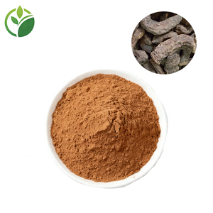 مسحوق مستخلص عشبي بالجملة من نوع سيستانش توبولوسا وديزيرتيكولا بدرجة غذائية في عبوات برميلية - Product Image 2