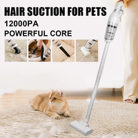 Aspirateur portable sans fil mini, puissant, pour voiture et maison, idéal pour la poussière et les poils d'animaux, rechargeable par USB
