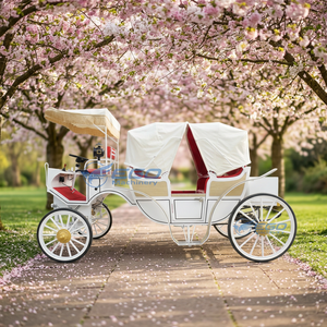 Best Quality <b>Pink</b> Pumpkin Sightseeing Royal Carriage Special Transportation Wedding Sightseeing Electric Carriage - Product Image 1