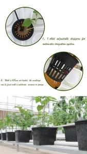 Système hydroponique ONE-one populaire en Thaïlande DWC Rdwc pour jardin et serre - Product Image 6