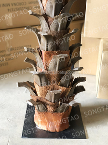 Songtao Palmiers Artificiels Décoratifs En Acier Canada En Gros Intérieur Haute Simulation <span class=keywords><strong>1</strong></span>:<span class=keywords><strong>1</strong></span> Palmier Artificiel 8-10 Ans - Product Image 4