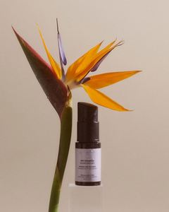 Champú Seco en Polvo <span class=keywords><strong>de</strong></span> Marca Privada para el Cuidado del Cabello en Invierno con Caolín y Almidón <span class=keywords><strong>de</strong></span> Maíz para Cabello Graso en Invierno - Product Image 2