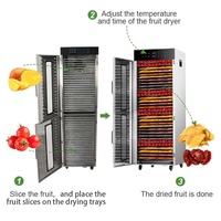 Commercieel Uitdrogen 80 Gebruikte Banaan Verse Ananas En Mango Fruitdroger Machine Prijs In India