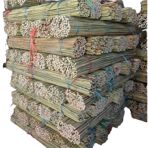 <span class=keywords><strong>Bambou</strong></span> Canna écologique <span class=keywords><strong>naturel</strong></span> de haute qualité/<span class=keywords><strong>Bambou</strong></span> Canna/Canne Bambu - Product Image 1