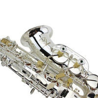 Silver Plated Eb Alto Saxophone-Professional Intermediate Instrument with Rich Sound HYM-590 Model OEM Brand
