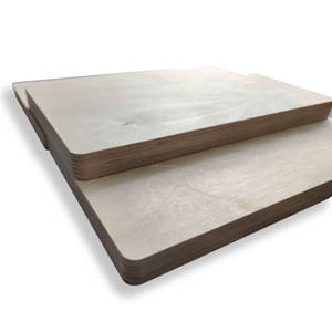 Contrachapado Fenólico de Primera Clase con Núcleo de Abedul E0 de 1525x2500 mm, Resistente al Agua, Paneles Completos de Abedul Modernos de 20 mm para Armario - Product Image 2