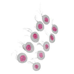 30 पीसी शिविर गैस लालटेन लैंप मैटल पोर्टेबल सरल स्थापना हाइकिंग गैस लाइट मैटल सेट Z00124 - Product Image 3