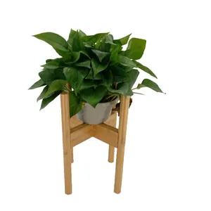 Verstelbare Plant Stand Mid Century Moderne Bamboe Hout Indoor Plant Holder Verstelbare Breedte 8 Tot 12 Inch