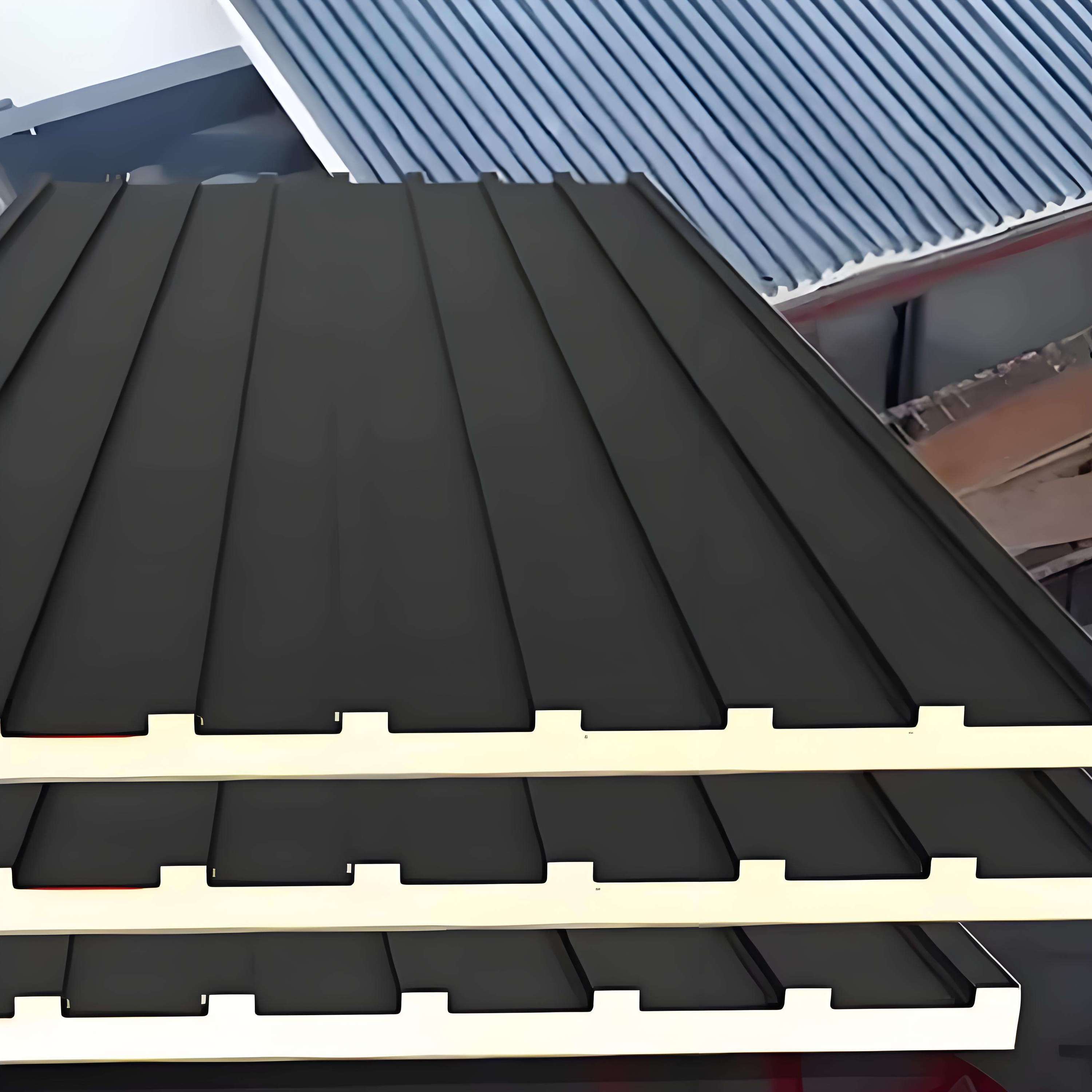Modern residence with considered roof lines