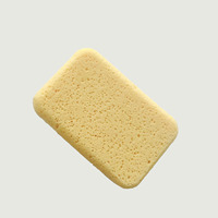 Éponge en pâte de bois époxy colorée pour le nettoyage des joints et la construction, outils de nettoyage