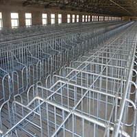 Cage de gestation pour truies, cage de mise bas pour truies, cage de gestation à colonne galvanisée à chaud pour élevage porcin, équipement d'élevage