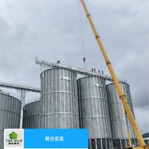 Silo pour Grains de Millet, Blé, Graines de Tournesol et de Sésame avec Dispositif Anti-bris - Product Image 4