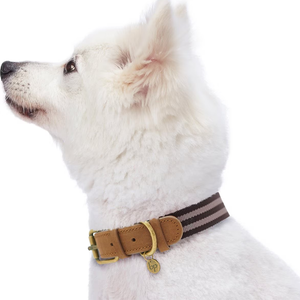 New Trend Genuine Leather Dog <strong>Collar</strong> with Polyester Webbing Pet Neck <strong>Collar</strong> Soft <strong>Buckle</strong> for <strong>Cats</strong> Dogs Supplies - Product Image 6