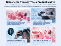 Colección de Terapia de Hielo para la Desinflamación Matutina: Masajeador de Cabeza Refrescante, Recipiente de Hielo Facial de Silicona con Termómetro, Set de Terapia de Hielo