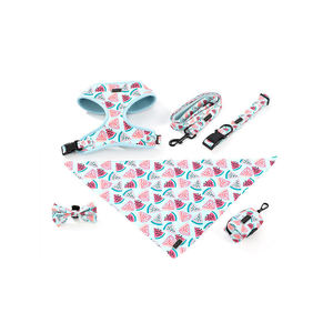 Set <span class=keywords><strong>Harness</strong></span> anjing multifungsi, 6 dalam 1, desain tugas berat tanpa tarik untuk keturunan besar, tali kerah hewan peliharaan mewah dapat disesuaikan OEM - Product Image 1