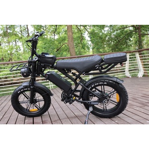 Bicicleta Eléctrica Personalizada V20 Pro Aus Fatbike 500W con Motor sin Escobillas, Tira Reflectante, Diseño de Seguridad para Playa, Larga Duración - Product Image 1