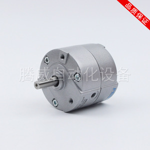 Actuador Rotatorio Angular de Doble Efecto Compacto y Ligero DRVS-8-90-P, Cilindro Neumático Oscilante con Rosca Interna - Product Image 6