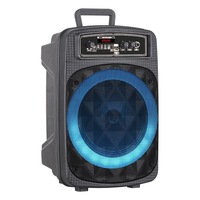Mini enceinte amplifiée sans fil de 8 pouces, portable, active, pour l'extérieur