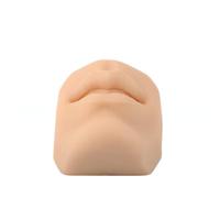 Modelo de enseñanza médica: modelo de boca de silicona para perforación, punción y práctica de sutura