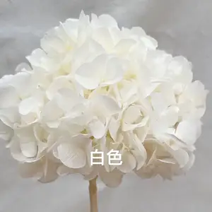 Real Touch Preserved Big Leaf Hortensie Blumen für Hochzeits dekoration