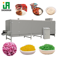 Machine d'extrusion automatique de riz artificiel nutritif, ligne de production de riz artificiel enrichi en nutriments