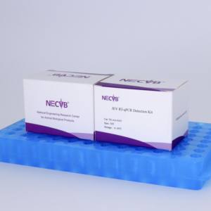 Kit de test qPCR rapide pour les étranglements (S. equi) chez les animaux équins-Haute sensibilité et spécificité - Product Image 3