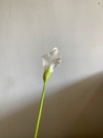 Offre Spéciale – Fleurs Artificielles Calla Lily Blanches, Toucher Réel, Longue Tige pour Décoration Florale Maison, Mariages et Centres de Table