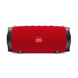 Zoweetek ZW-P9 Mini Outdoor Sport Speakers Waterproof IPX 5 Portable BT5.0 Speaker 40W Output Hifi Amplifier Support TF card