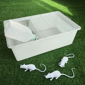 Laboratuvar için laboratuvar hayvan kemirgen fareler sıçan kafesi üreme kafesleri - Product Image 5