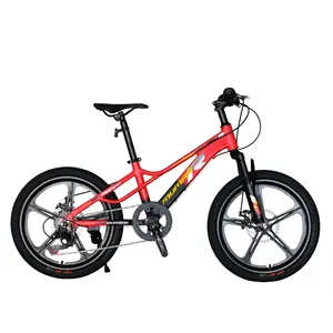 Custom Best China supplier 20 inch Elegant Simple Boys Girls Bicycle Kids bike kids bike of beautiful design