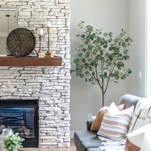 5ft Faux cây bạch đàn trong nồi bạch đàn nhà máy Bạc đô la lá cây lụa cây nhân tạo cho nhà văn phòng - Product Image 4