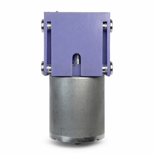 ระบบรวมการทำงานที่ง่ายดาย 40BZ DC24V 2.5-5 ลิตร/นาที ปั๊มสุญญากาศอุตสาหกรรมแบบไร้น้ำมัน - Product Image 5
