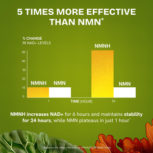 Nmnh Poeder Cas Geen 108347-85-9 Grondstoffen Voor Nmnh Capsules Plus Levering Van Voedingsenzymen - Product Image 6