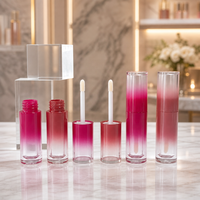 Huile à lèvres liquide mate dégradé ombré, tubes à rainures verticales, bases transparentes, tons rose rouille, approvisionnement en gros, logo personnalisé, OEM