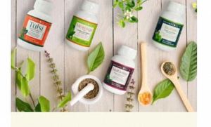 Cápsulas de Giloy de Alta Potencia para el Apoyo Inmunológico, Cápsulas de Extracto de Giloy Natural, Fórmula de Desintoxicación y Bienestar - Product Image 3