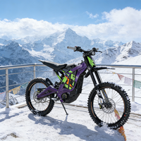New Model Electric Off Road Motorcycle 10000W Peak Power 72V 35Ah Remove Battery High Speed Sur Ron Ultra Bee