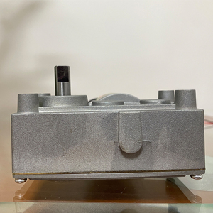 Mesin Dc gigi cacing 52Mm 24V 25Rpm kustom produsen Motor Dc kebisingan rendah untuk makanan hewan peliharaan - Product Image 5