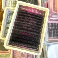 Nouveautés Extensions de cils en vison 18-25mm, Vente en gros, Marque privée, Extensions de cils supérieurs et inférieurs, Clusters de cils inférieurs effet pointe
