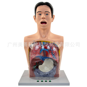 Modèle de lavage gastrique humain, modèle transparent du mécanisme de lavage gastrique avec signes d'avertissement, décompression gastro-intestinale - Product Image 4