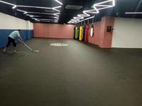 Tapis de sport en mousse XPE, pom-pom girl, en rouleau souple, surface en pvc, tatami, motif xpe, lutte, BJJ