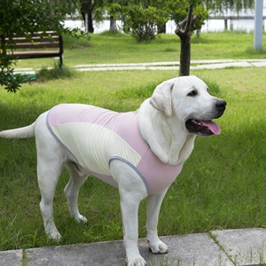 Gilet rinfrescante estivo per cani, giacca rinfrescante evaporativa traspirante per animali domestici, protezione UV, asciugatura rapida, cappotto rinfrescante per cani di taglia grande, media e piccola - Product Image 3