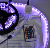 Bande LED RGB 5050 de haute qualité, 60 LED/m, DC24V, certifiée CE RoHS, CRI90, contrôle par application, IP20, décoration paysagère et intérieure