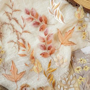 30 unids/pack Paquete de pegatinas para mascotas serie de libros de luz de plantas manuales de plantas naturales pegatinas de Material de fondo - Product Image 4